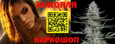 сатива Аргун