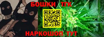 сатива Аргун
