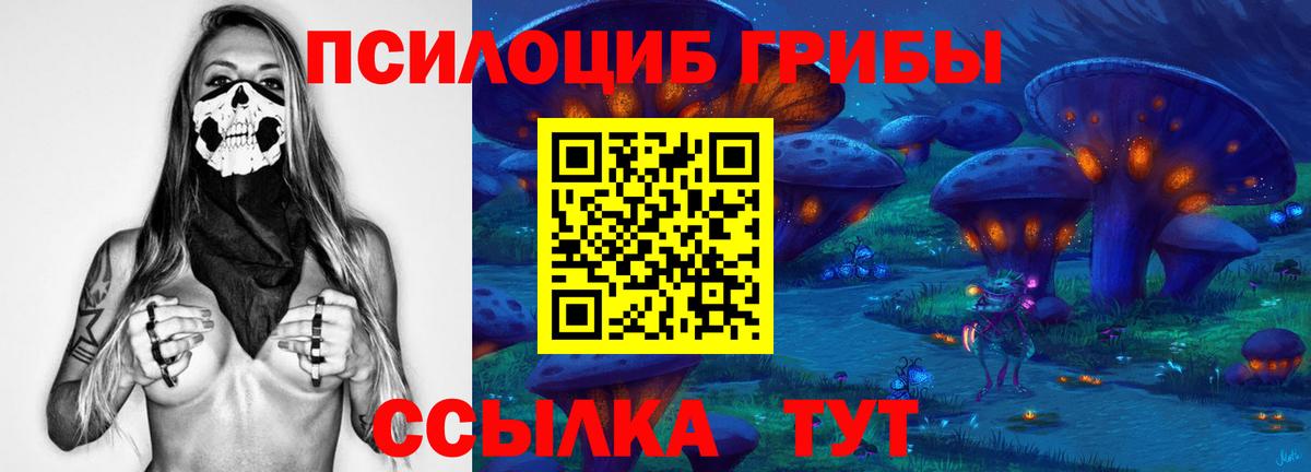 Галлюциногенные грибы Psilocybe Балашиха